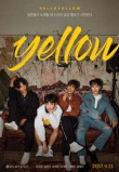 「Yellow」写真